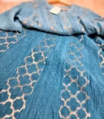 Brocade Mul Chanderi Ombré Blue Anarkali with Lucknowi Chikankari - Image 3