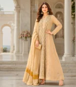 Beige Tissue Anarkali Dupatta