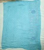 Powder Blue Sequins Saree with Lucknowi Chikankari - Image 4