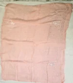 Peach Sequins Saree with Lucknowi Chikankari - Image 5