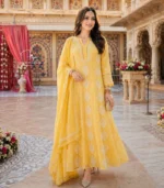 Zard Mul Chanderi Chikankari Set