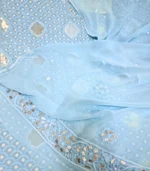 Powder Blue Chikankari Kurta Dupatta - Image 4