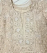 Organza Layered Chikankari Gown Set - Image 4