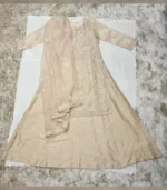 Organza Layered Chikankari Gown Set - Image 2